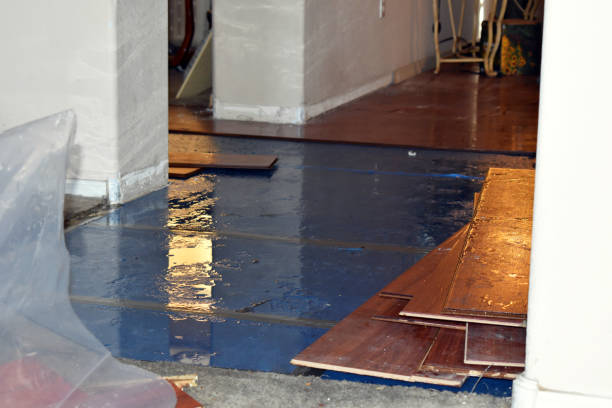 Professional Water Damage technician working in Allenton, WI
